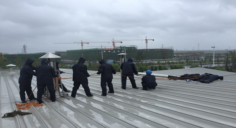 抗擊臺(tái)風(fēng)“利奇馬”  齊心協(xié)力保“加”園